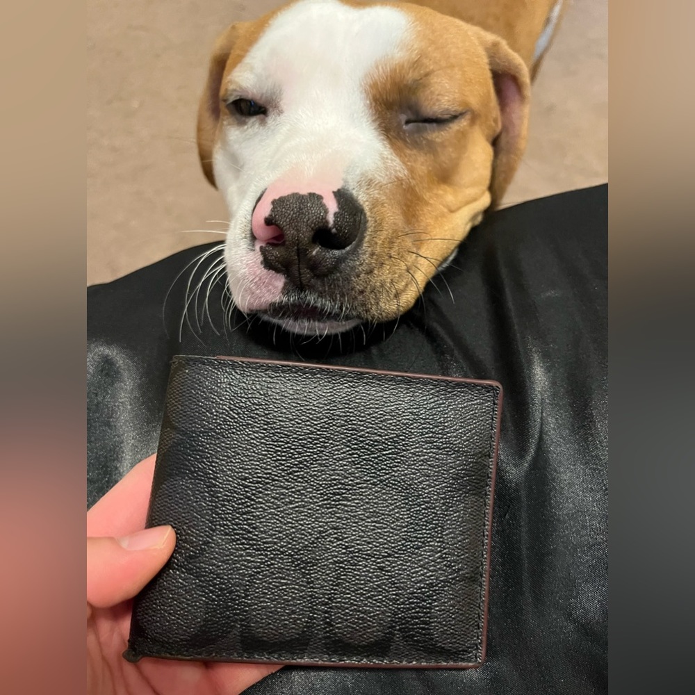 Couch wallet